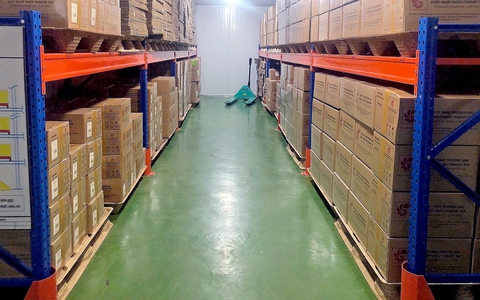 Pallet từ phế phẩm nông nghiệp vào chuỗi cung ứng toàn cầu