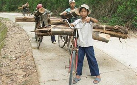 Bất an hồ Phú Ninh