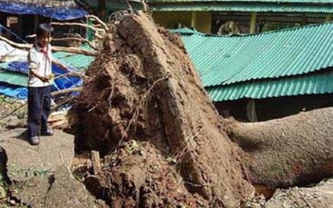 Thời tiết đang diễn biến bất thường