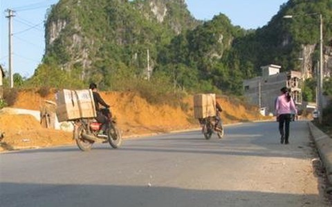 Nước mắt giữa rừng