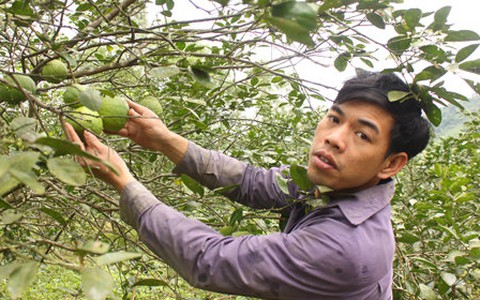 Làm giàu giữa lèn đá