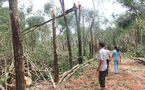 Lốc xoáy kèm mưa đá gây hại nhiều nơi