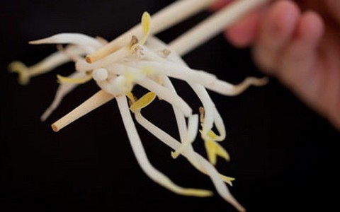 Giá đỗ có khả năng là nguốn gốc dịch E.coli