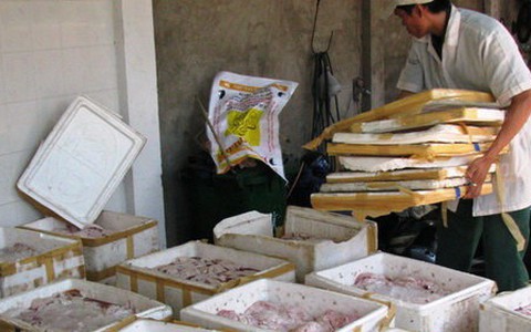 TP.HCM: bắt xe khách chở gần 1 tấn mỡ heo thối
