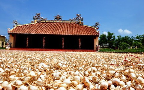 Tour mới Quảng Ngãi: khám phá vùng biển đảo kỳ thú