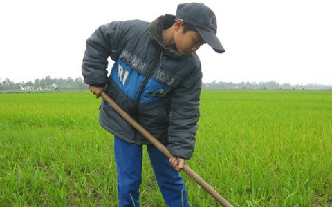 Nghị lực tuổi 12