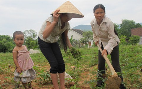 5 năm đi đòi đất