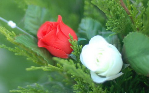 Vu lan đầu tiên con vắng mẹ