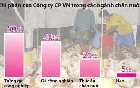 Doanh nghiệp nước ngoài thâu tóm ngành chăn nuôi