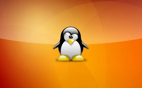 XP lên 10, Linux đôi mươi