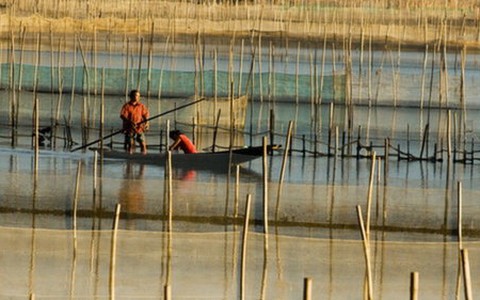 Về đầm Chuồn