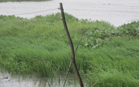 Điện "chia hơi" ba cao
