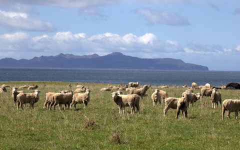 Khám phá Tasmania