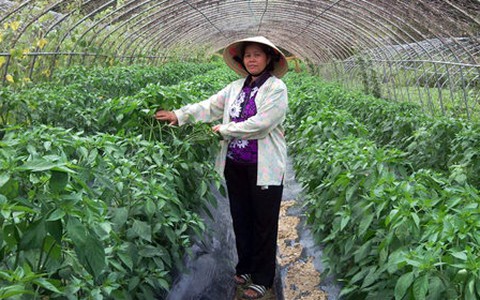 Làm dâu xứ Hàn - Kỳ 5: Đổi thay số phận