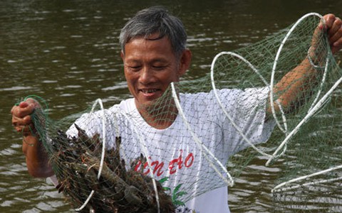 "Bắt mạch" liên kết vùng