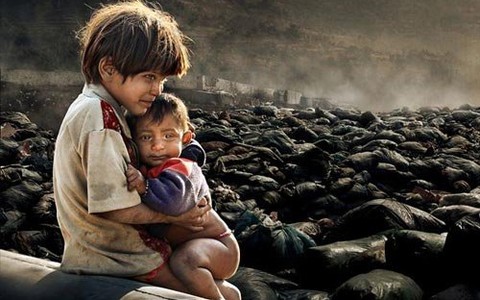 Những bức ảnh đoạt giải môi trường năm 2011