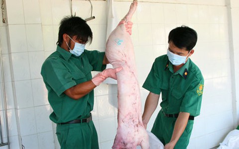 Phát hiện gần 600kg thịt heo thối vào TP.HCM