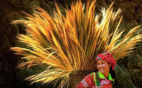 Hội Nhiếp ảnh TP.HCM kỷ niệm 30 năm thành lập