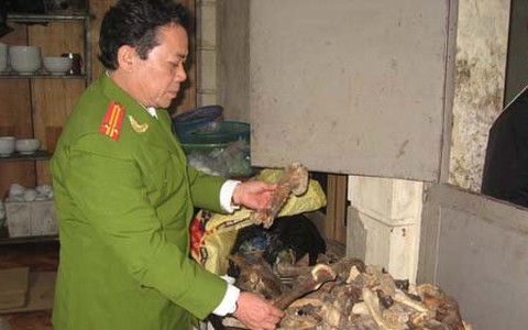 Nấu cao hổ cốt giữa lòng Hà Nội