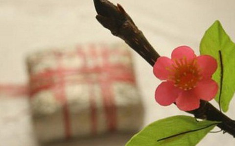 Mời bạn tham gia diễn đàn "Tết xanh của tôi"