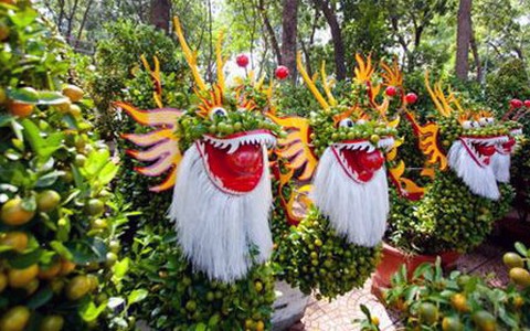 Chợ hoa tết TP.HCM: rồng bay rồng cuộn