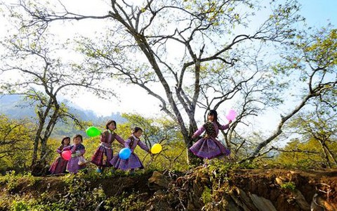 Audio Nhịp sống trẻ: Tết phượt