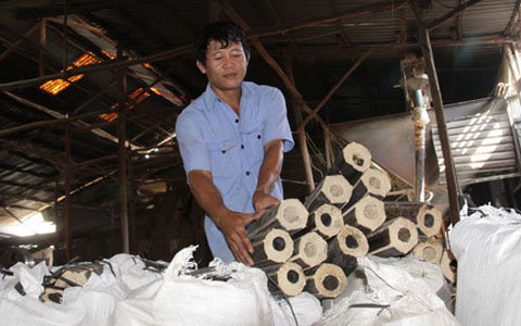 Củi trấu hút hàng