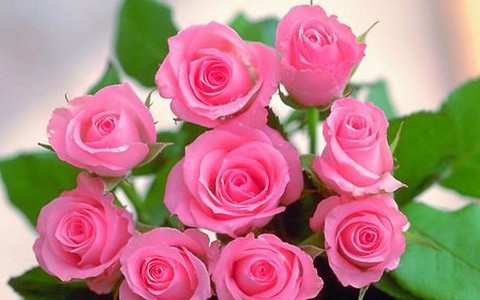 Audio Nhịp sống trẻ: Cho ngày 8-3 yêu thương