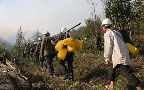 Dập lửa cứu rừng Hoàng Liên