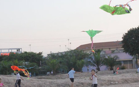 Đồng diều vào mùa