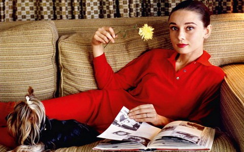 Công bố ảnh hiếm của Audrey Hepburn