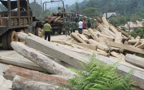 Khởi tố vụ án phá rừng lớn ở Hà Tĩnh