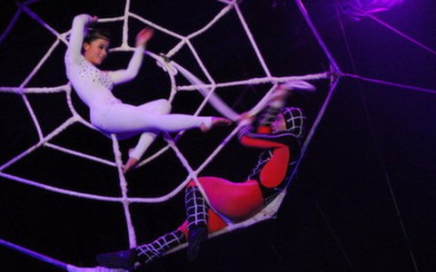 Gala xiếc 2012: những dấu ấn đẹp!