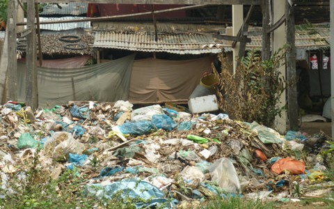 Sống chung với rác