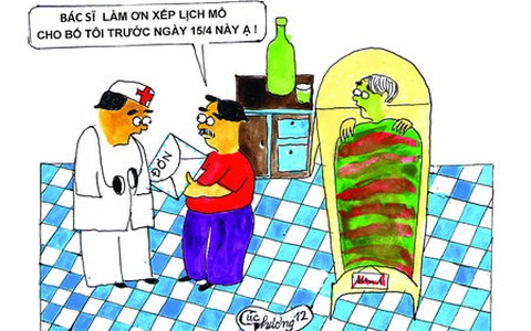 Thỏ thẻ Bác Sĩ