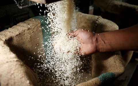 Lợi dụng trợ giá gạo để trục lợi