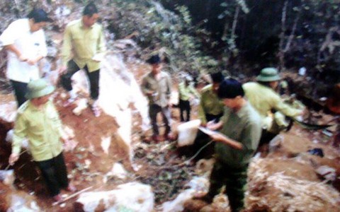 Phong Nha: xác định 11 người đốn 3 cây sưa