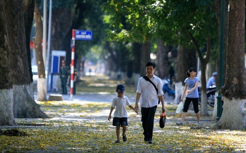Hà Nội mùa thay lá