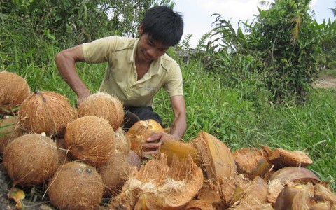 Doanh nghiệp gặp khó, công nhân tự lo