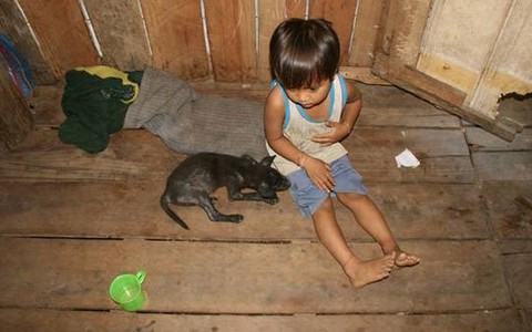 Côi cút trong vùng "bệnh lạ"