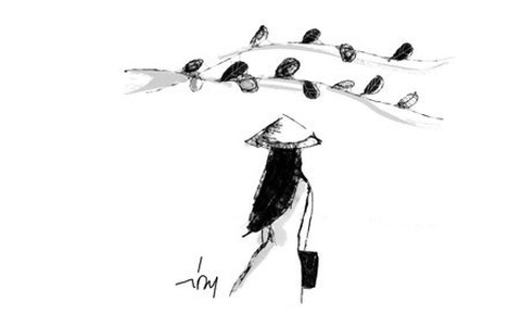Tháng năm hoa phượng