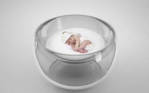 Chiếc nôi mới cho bé
