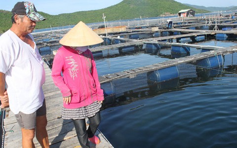 Chính quyền nhiều địa phương thừa nhận lơi lỏng