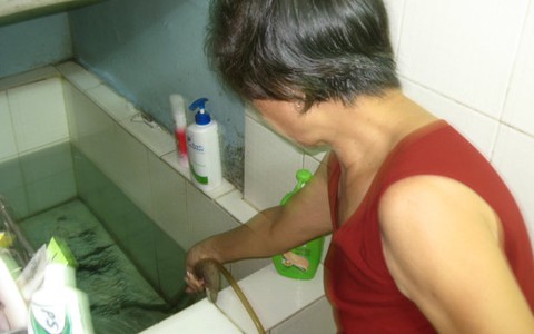 Nhiều nơi nước yếu, đục