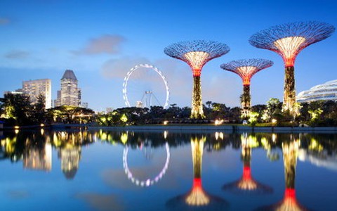 Rực rỡ những khu vườn "siêu cây"