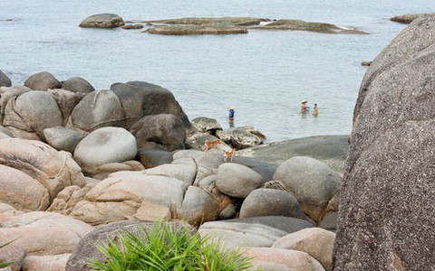 Dạo chơi biển Tân Phụng