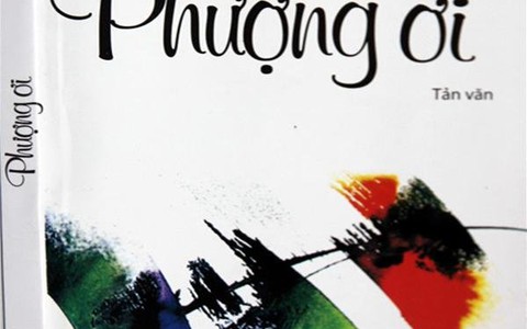 Những tiếng lòng