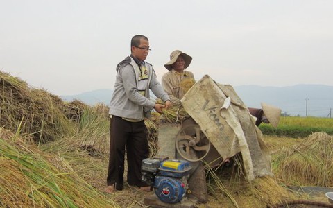 Về làm đồng với má