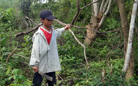 Côi cút dưới chân đồi