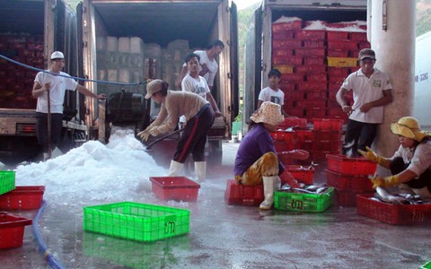 Ước mơ giữa biển